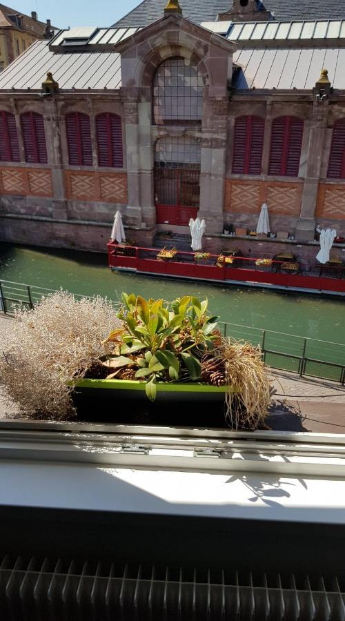 New ! Vue Petite Venise, Place To Be - Parking กอลมาร์ ภายนอก รูปภาพ